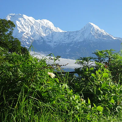 La oveja Pepi en las Annapurnas