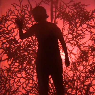 Respirando la espesura